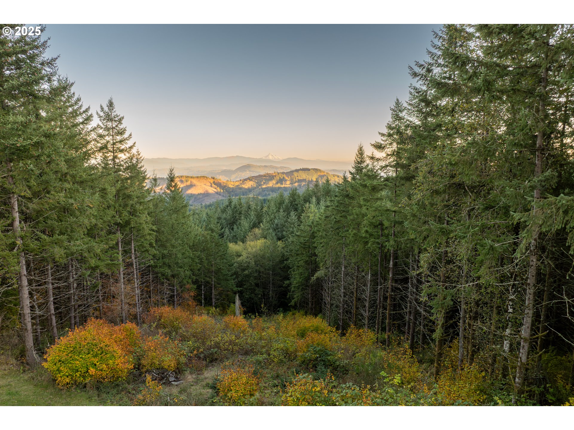 421 Woodland Heights Road Woodland, WA 98674 - Photo 42 of 48 a view of outdoor space and yard
