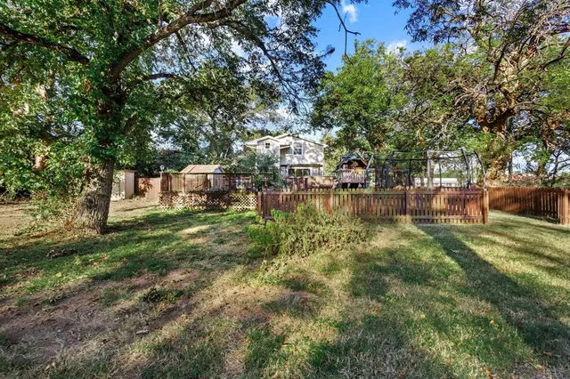 a view of a yard with large trees