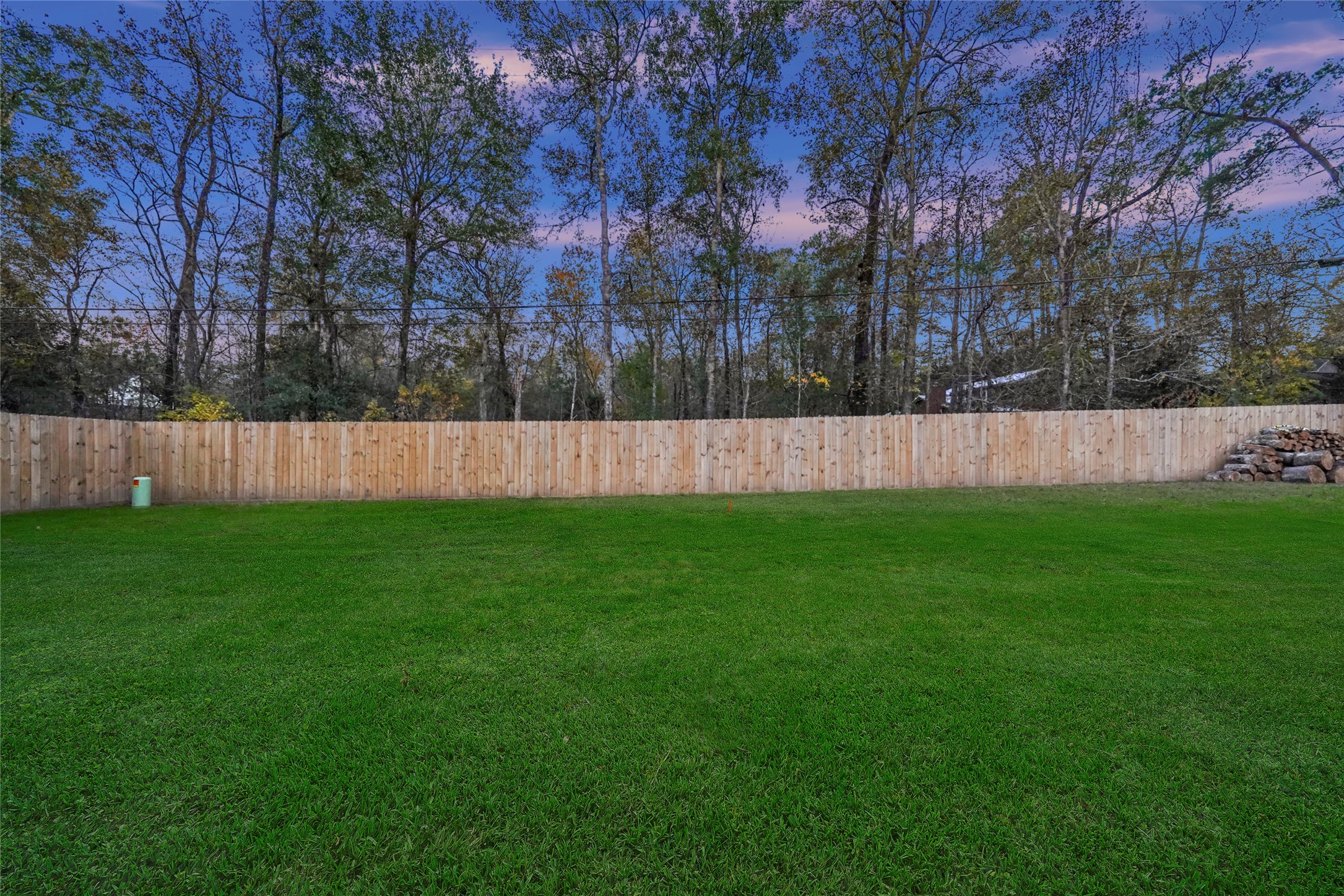 2438 Carriage Lamp Lane Conroe, TX 77384 - Photo 38 of 41 a view of yard with trees in the background