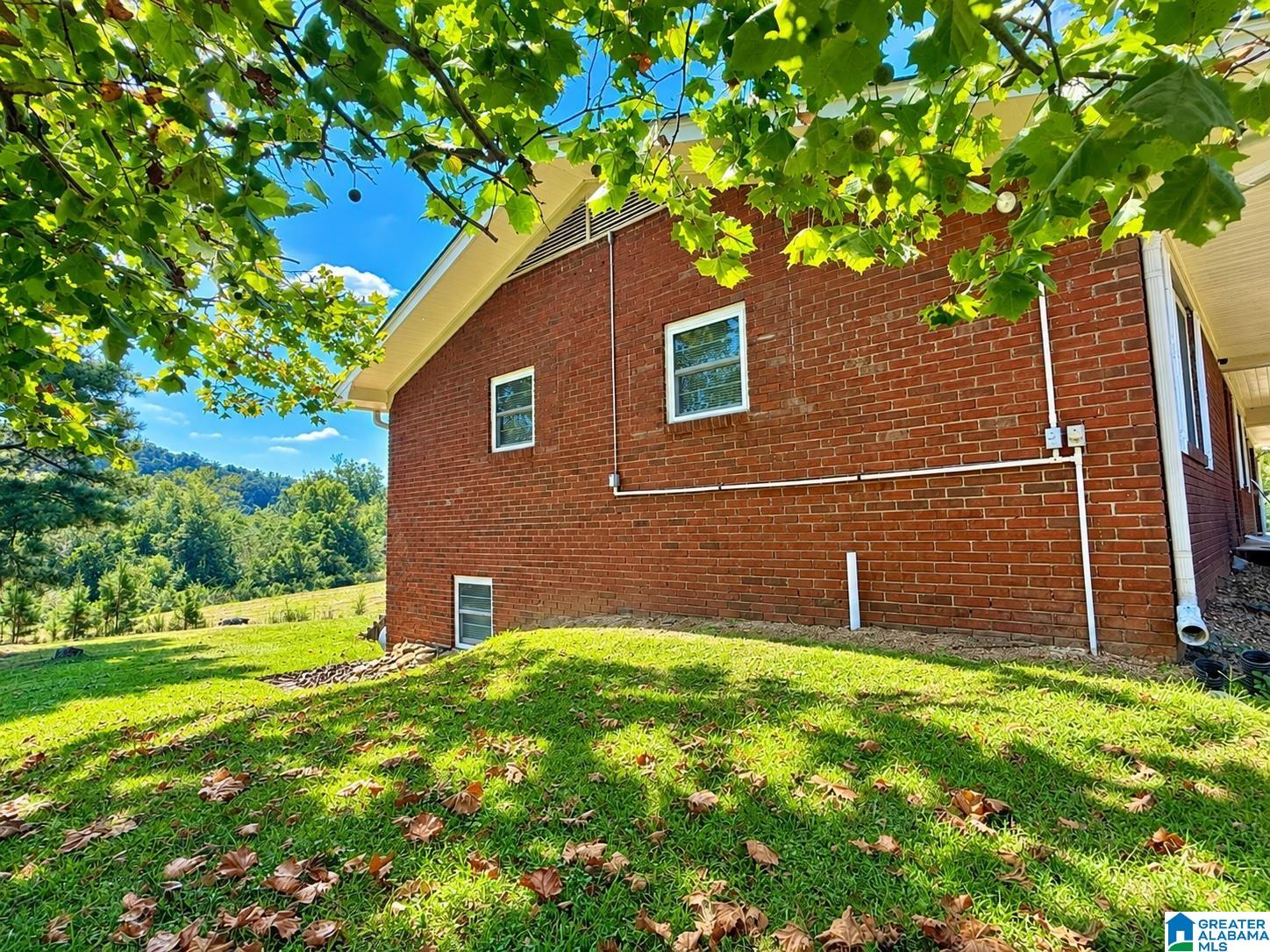 554 Chappell Road Piedmont, AL 36272 - Photo 31 of 72 Gallery Image 31