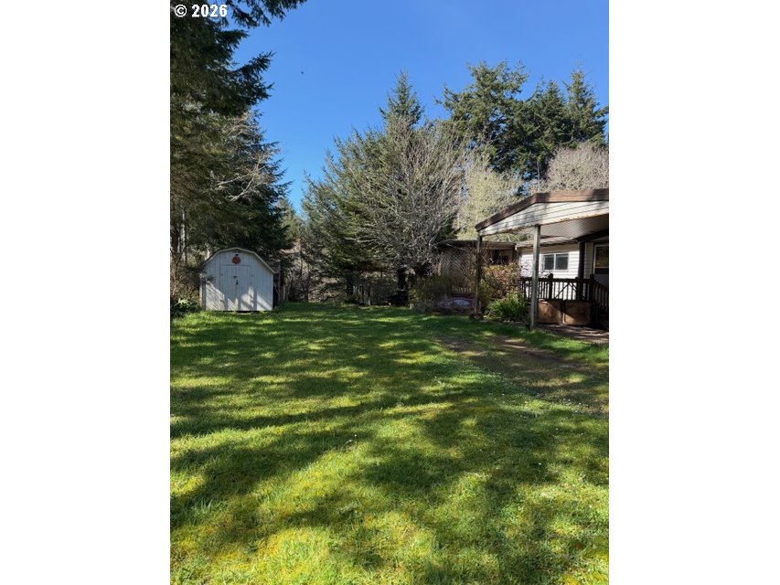 64294 Penny Road Coos Bay, OR 97420 - Photo 4 of 26 a backyard of a house with lots of green space