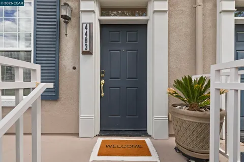 a room with furniture and a potted plant