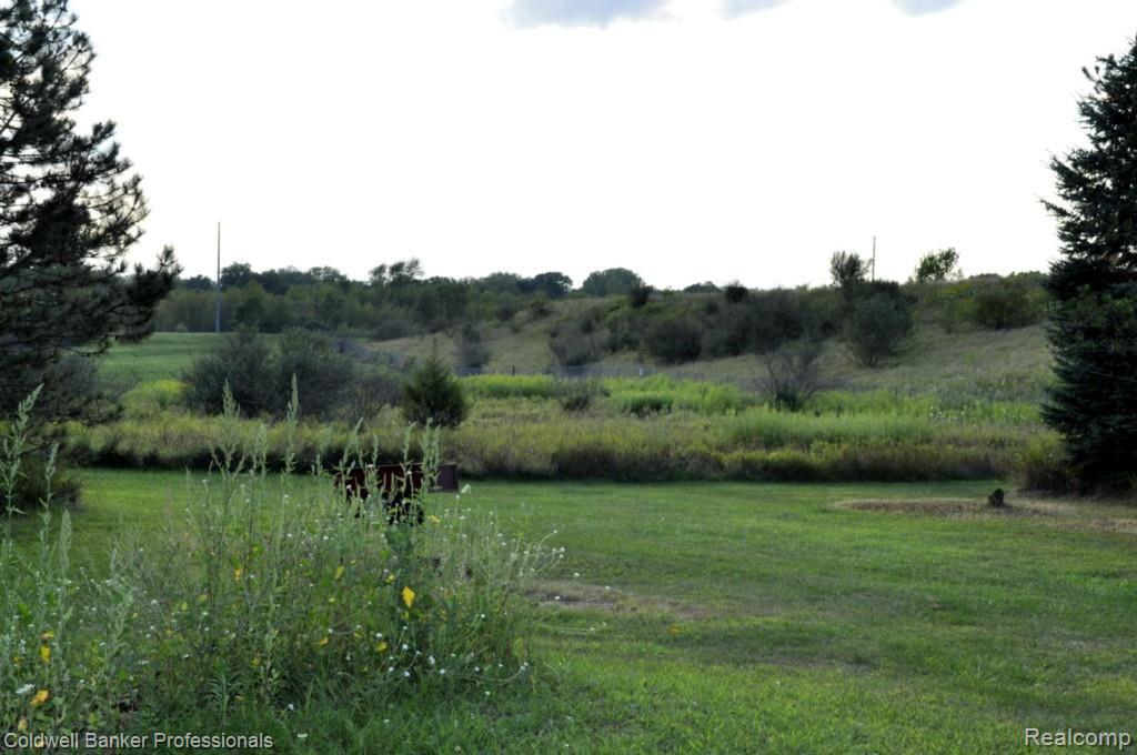 13247 Lone Tree Road Hartland, MI 48353 - Photo 62 of 70 _DSC0443.jpg
