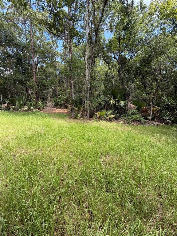 1438 Lake Harney Road Geneva, FL 32732 - Photo 14 of 17
