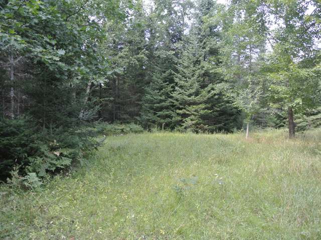 On Blue Lake Road Minocqua, WI 54548 - Photo 2 of 11 Gallery Image 2