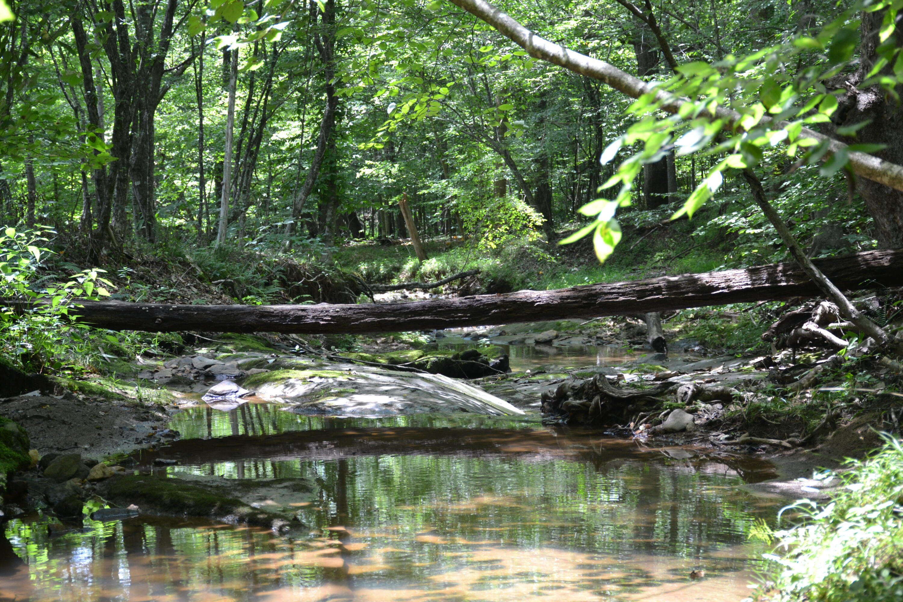 469 Tall Tree Road Wirtz, VA 24184 - Photo 1 of 53 1