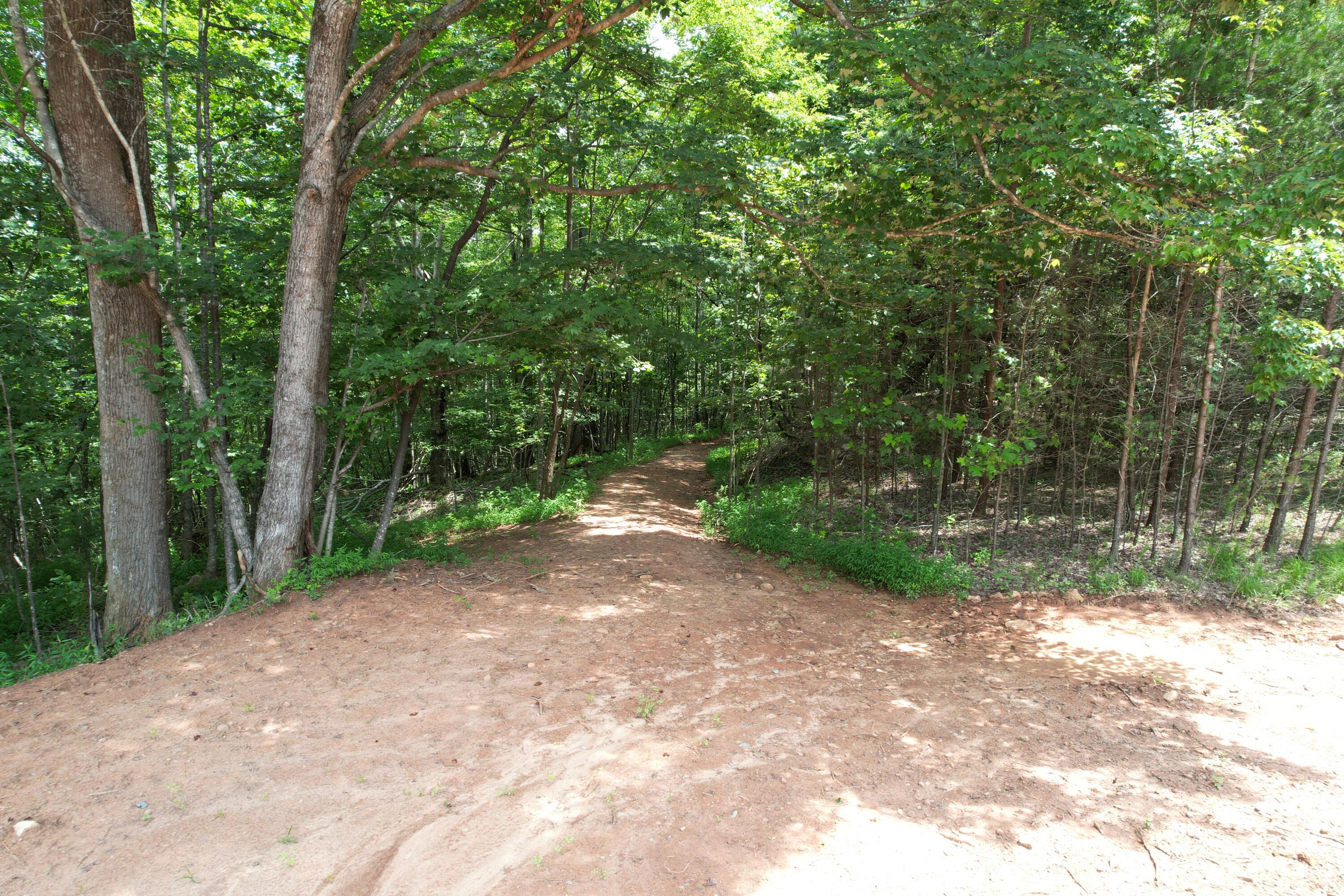 469 Tall Tree Road Wirtz, VA 24184 - Photo 12 of 53 DJI_0030
