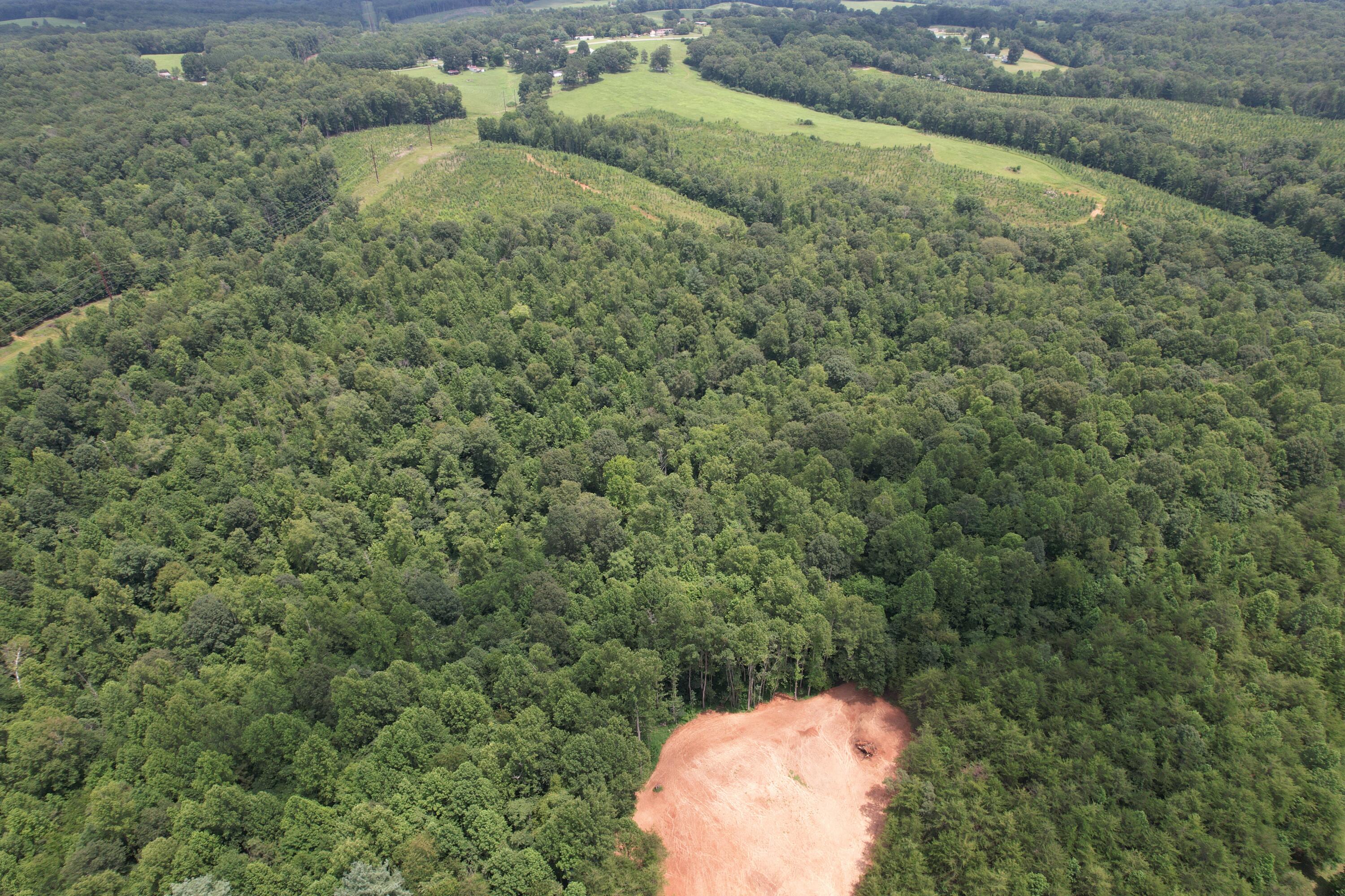 469 Tall Tree Road Wirtz, VA 24184 - Photo 13 of 53 DJI_0031