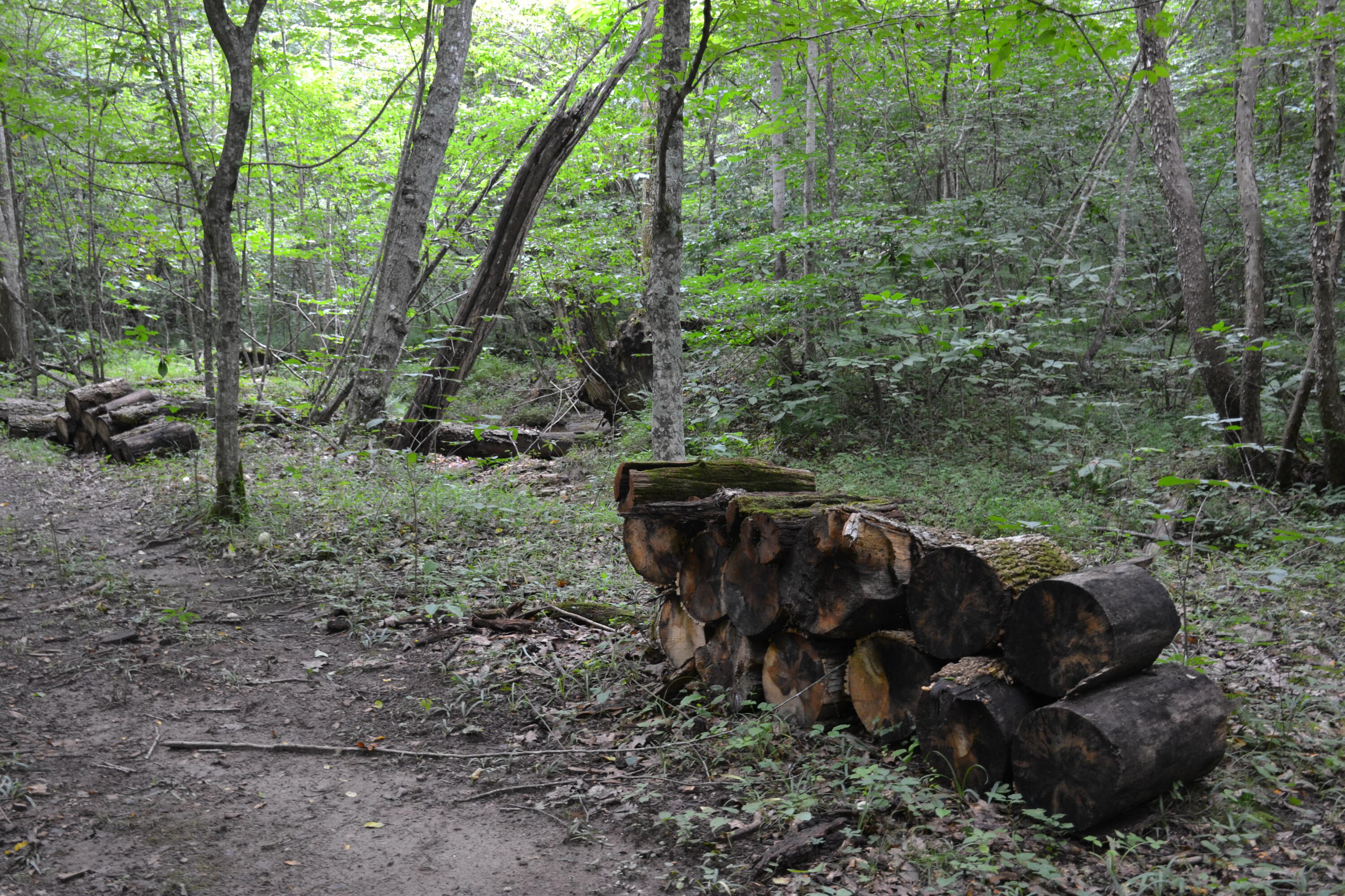 469 Tall Tree Road Wirtz, VA 24184 - Photo 15 of 53 DSC_0029