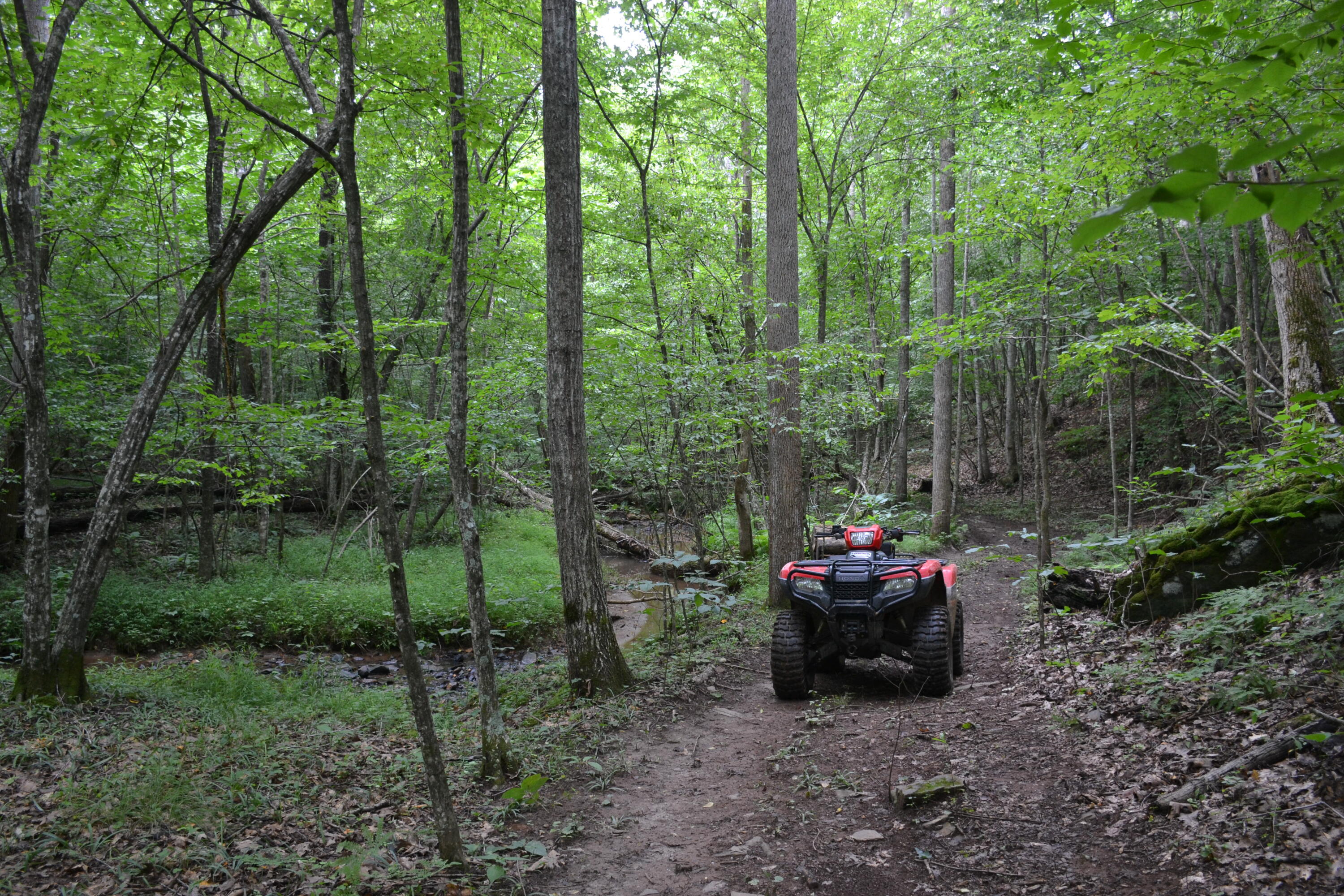 469 Tall Tree Road Wirtz, VA 24184 - Photo 16 of 53 DSC_0030