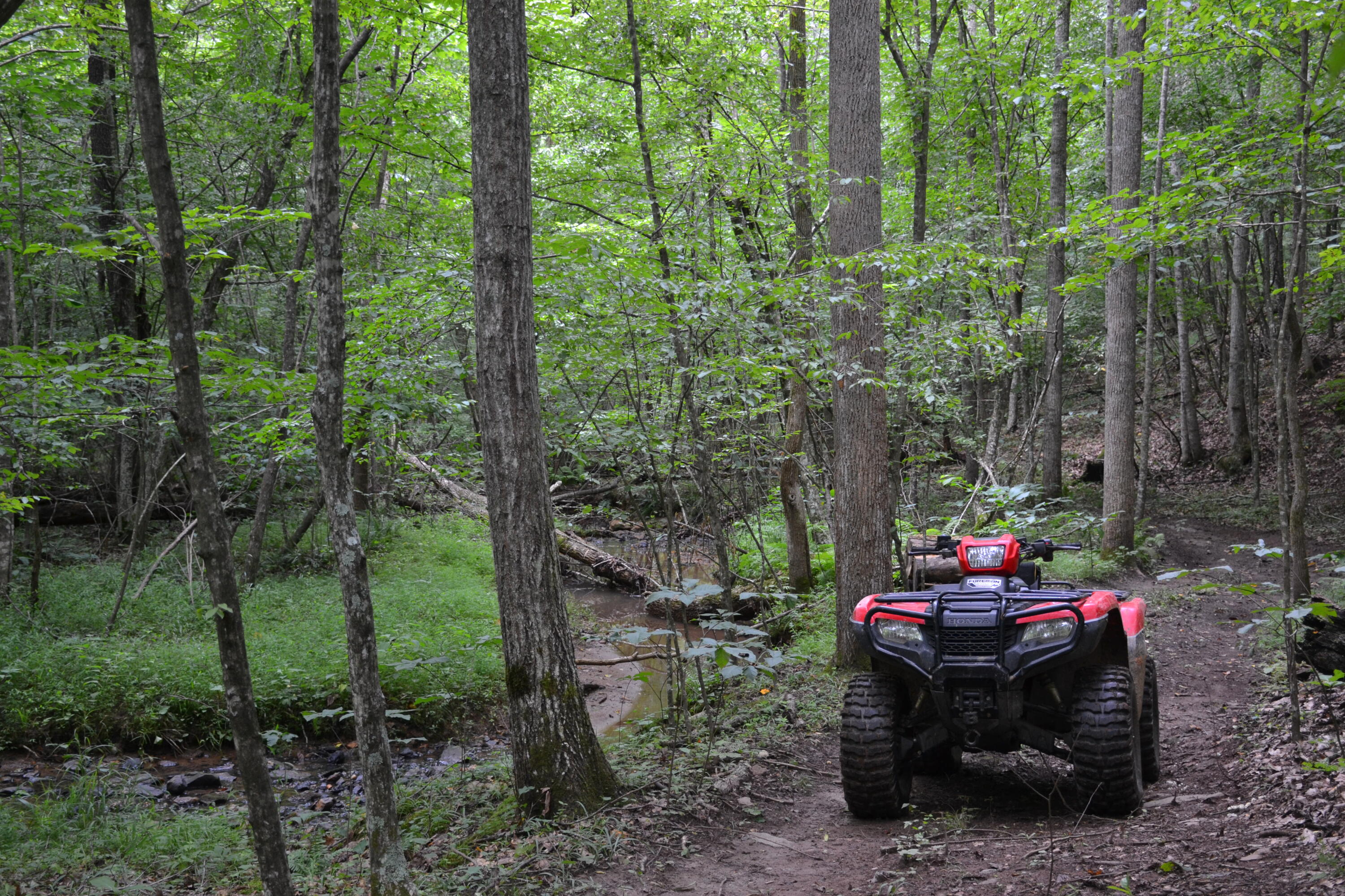 469 Tall Tree Road Wirtz, VA 24184 - Photo 17 of 53 DSC_0031