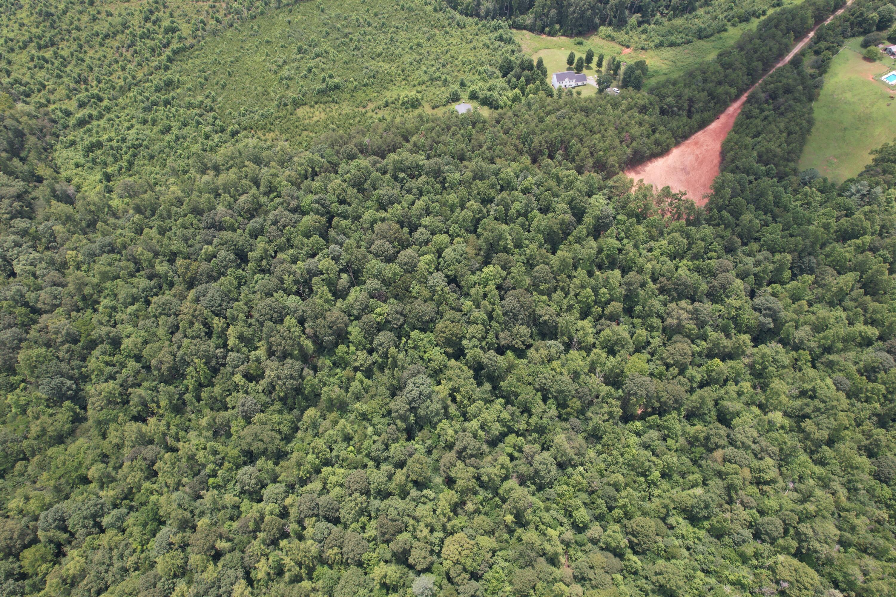 469 Tall Tree Road Wirtz, VA 24184 - Photo 21 of 53 DJI_0034