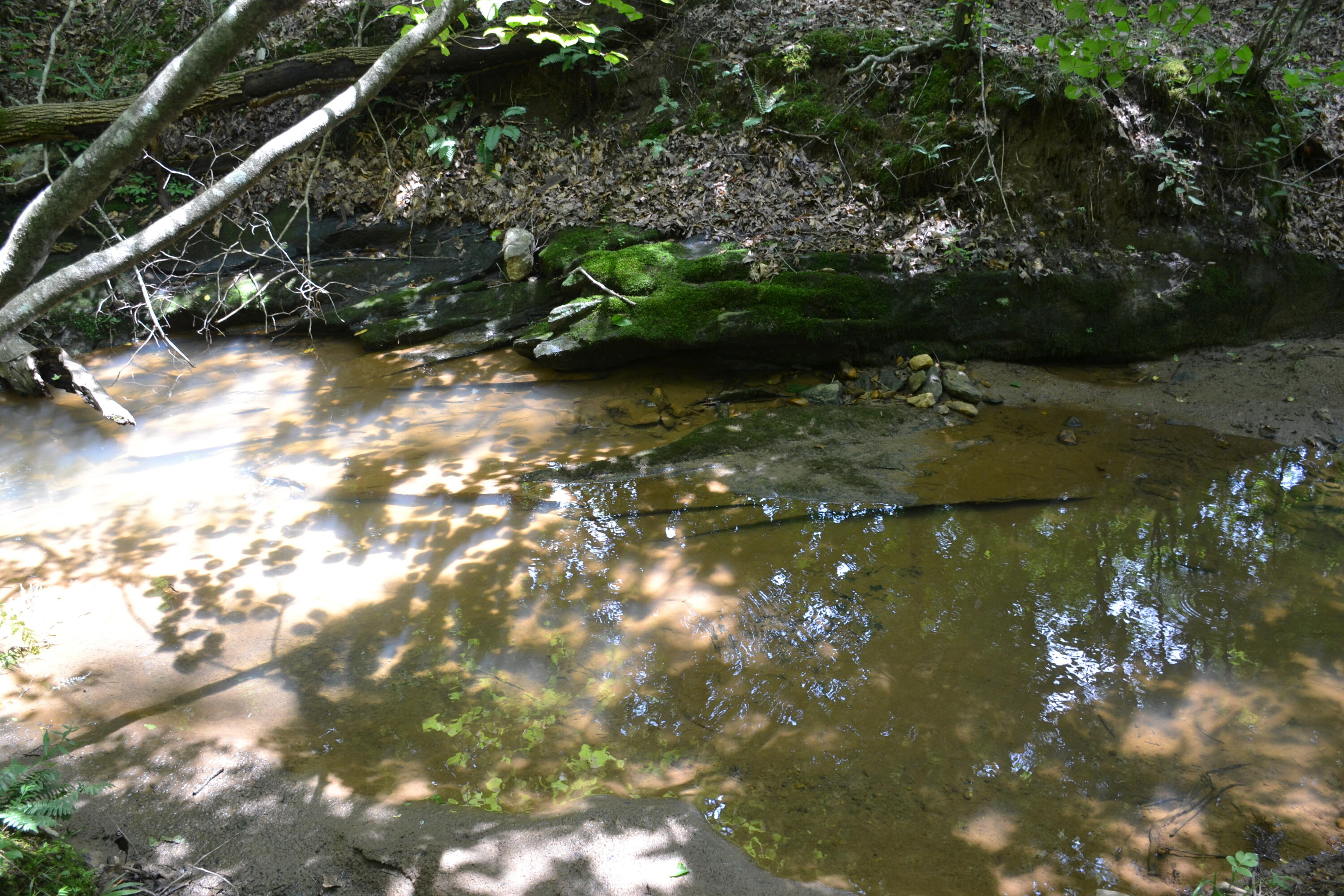 469 Tall Tree Road Wirtz, VA 24184 - Photo 31 of 53 DSC_0007