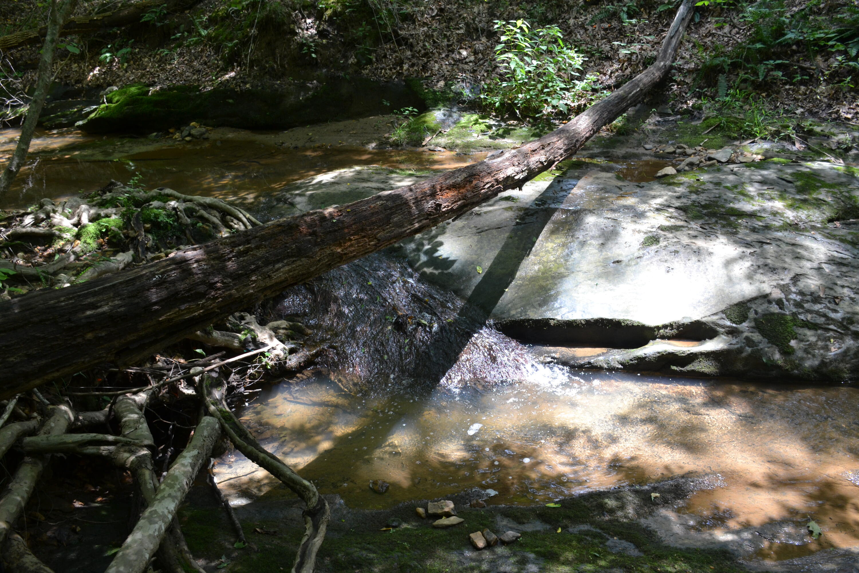 469 Tall Tree Road Wirtz, VA 24184 - Photo 32 of 53 DSC_0008