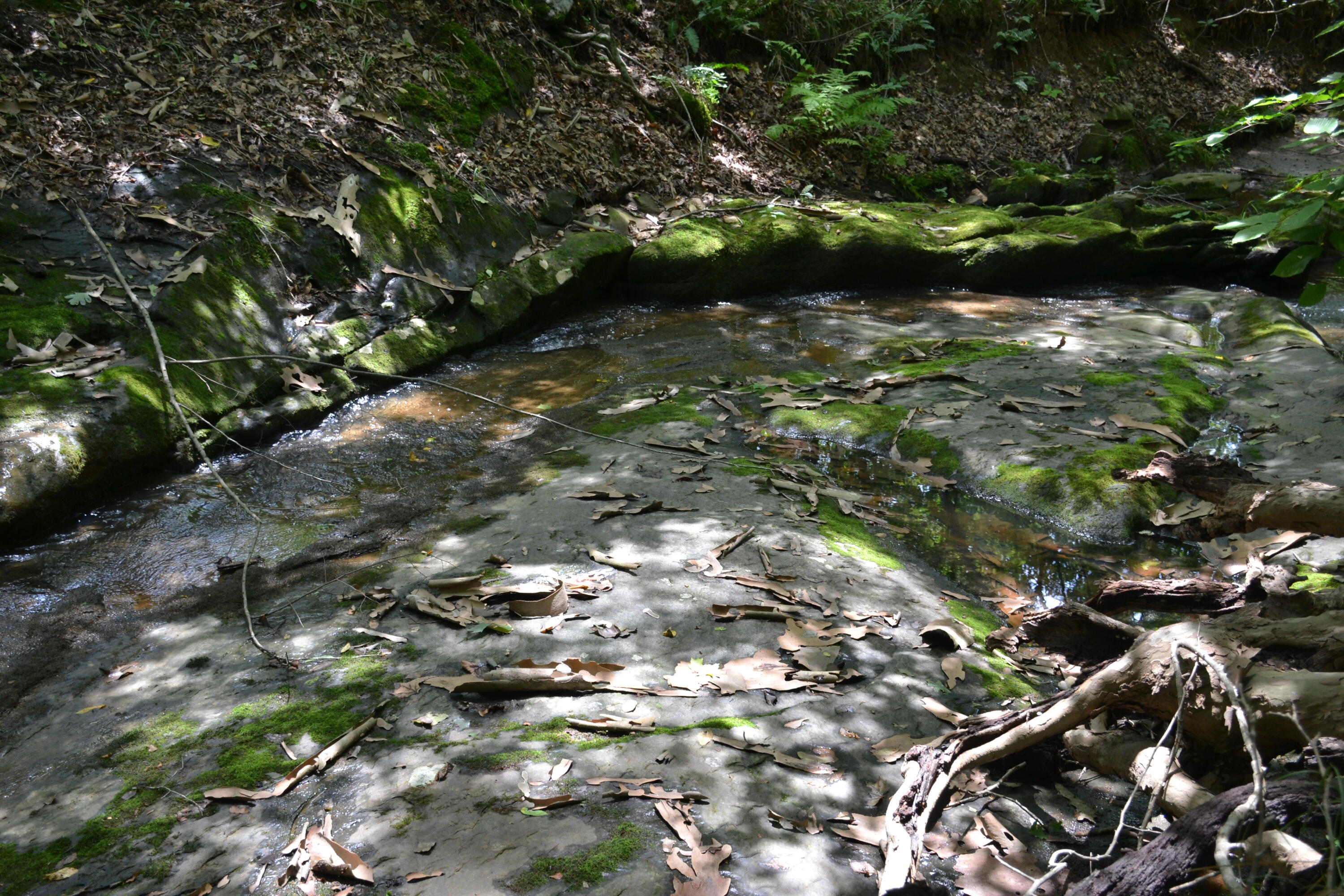 469 Tall Tree Road Wirtz, VA 24184 - Photo 34 of 53 DSC_0011