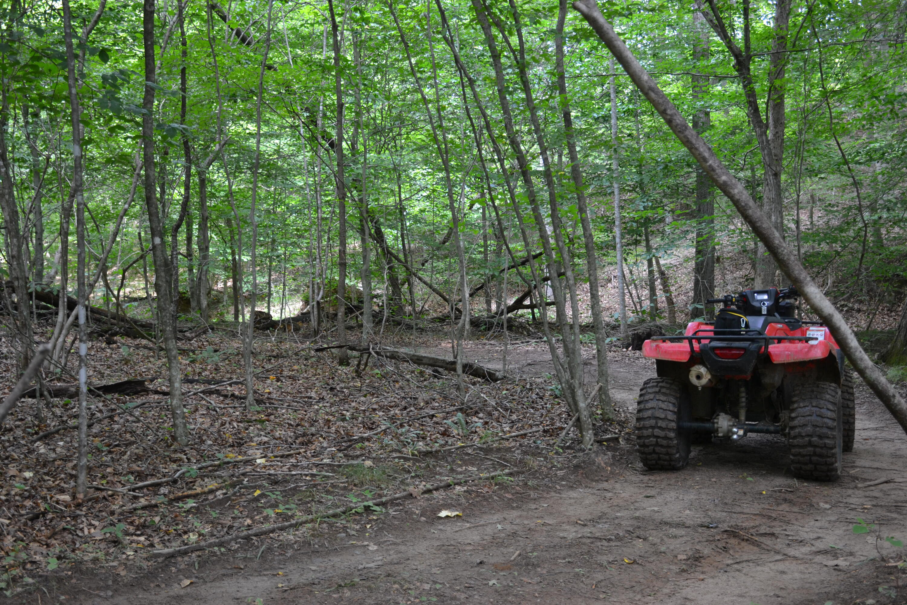469 Tall Tree Road Wirtz, VA 24184 - Photo 38 of 53 DSC_0016