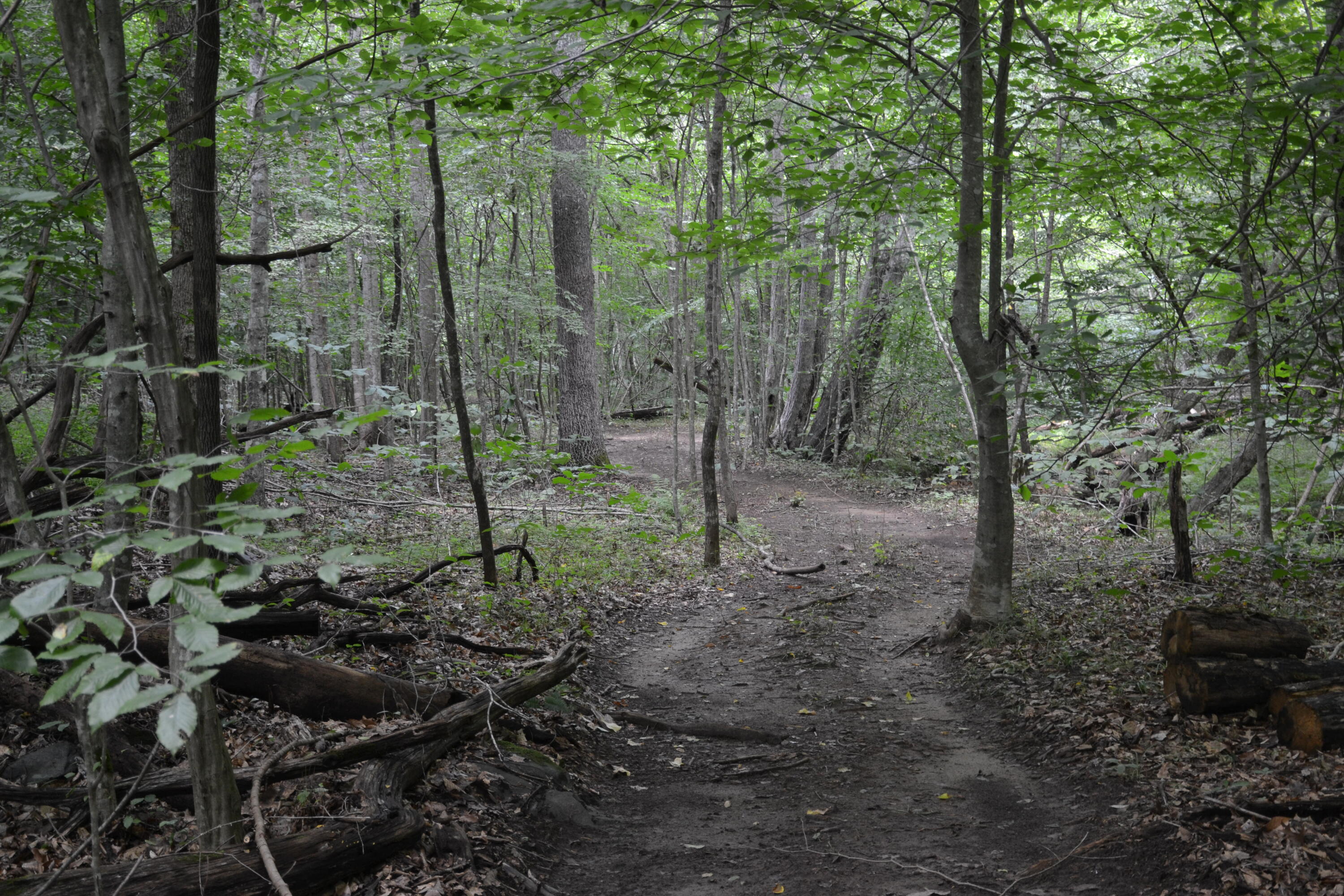 469 Tall Tree Road Wirtz, VA 24184 - Photo 41 of 53 DSC_0019