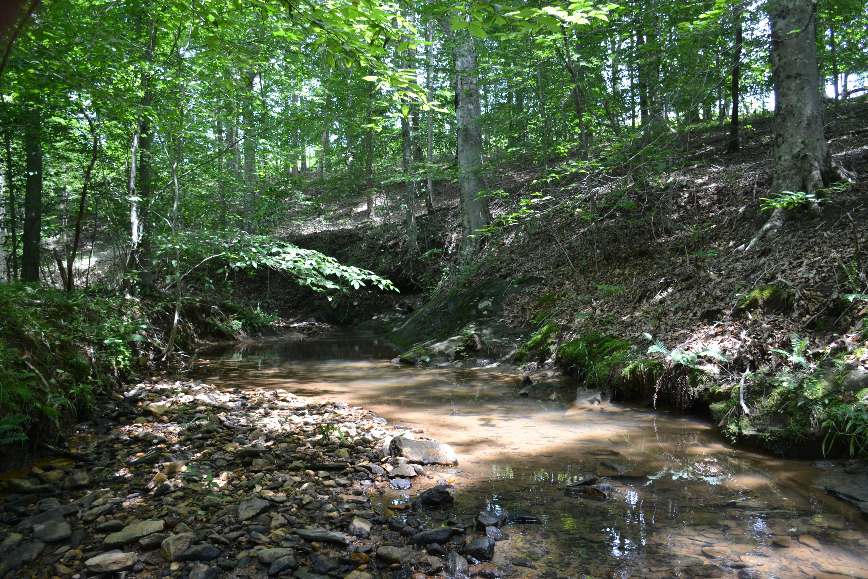 469 Tall Tree Road Wirtz, VA 24184 - Photo 7 of 53 DSC_0003