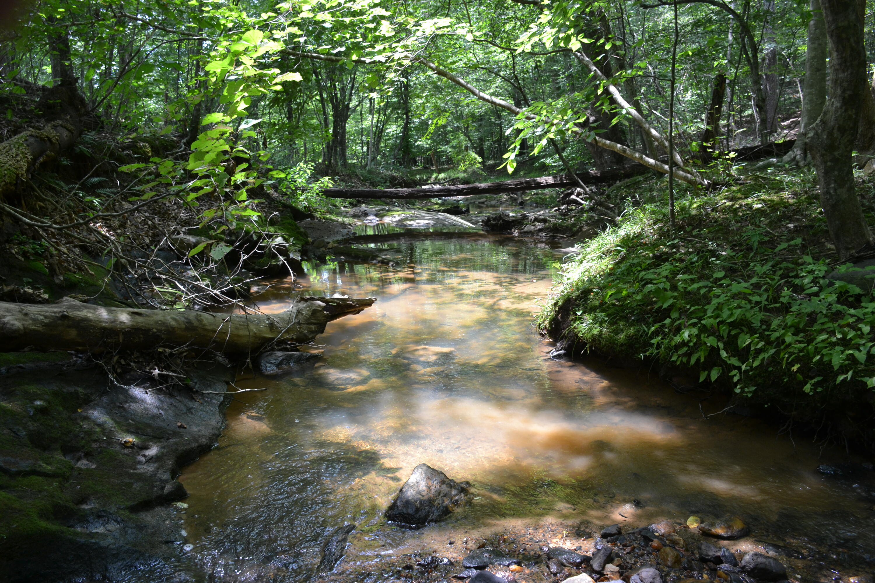 469 Tall Tree Road Wirtz, VA 24184 - Photo 8 of 53 DSC_0005