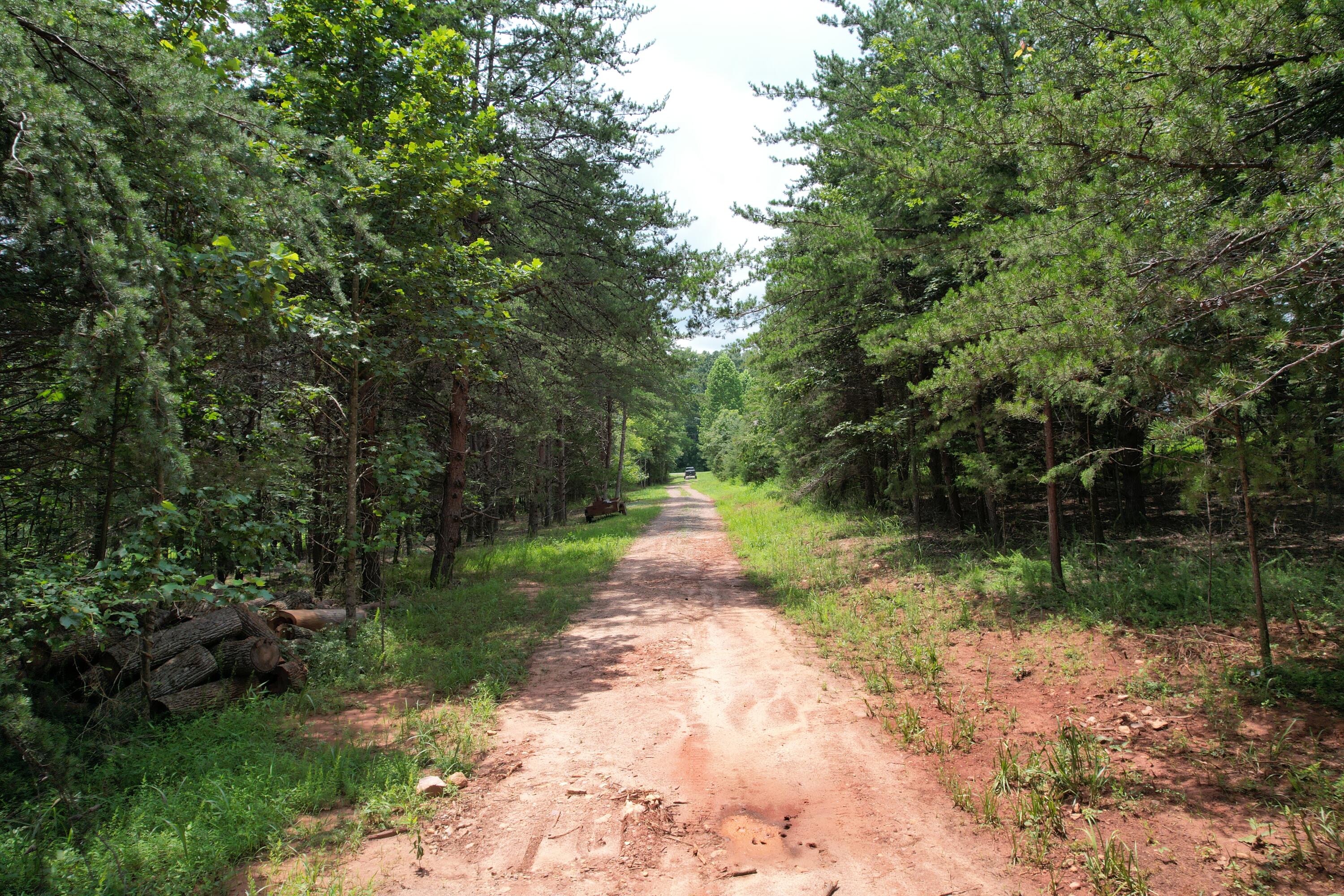 469 Tall Tree Road Wirtz, VA 24184 - Photo 10 of 53 DJI_0022