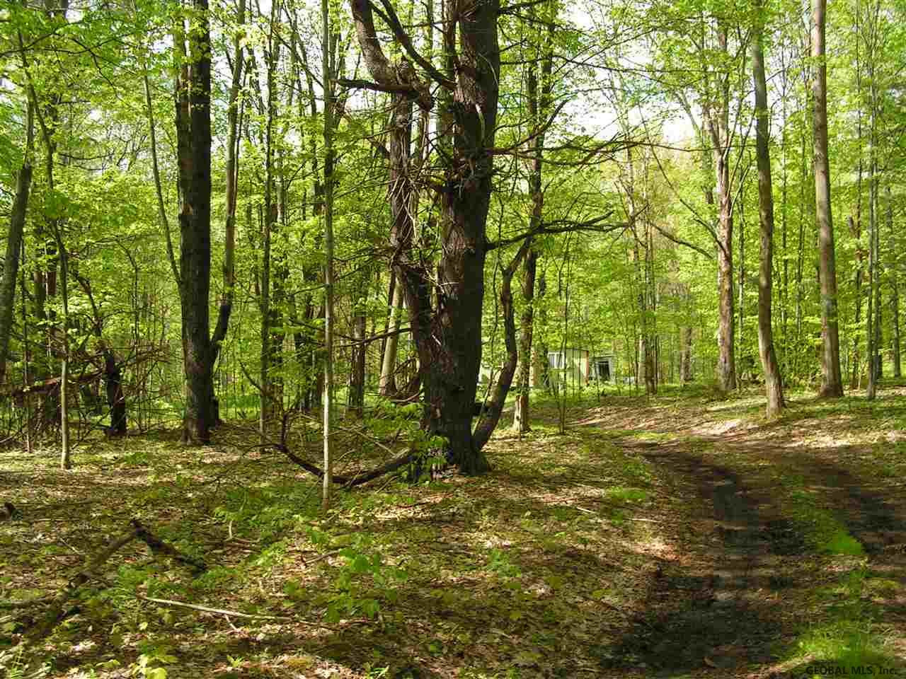 361 Tabor S Road Schenevus, NY 12155 - Photo 26 of 28 Photo 27