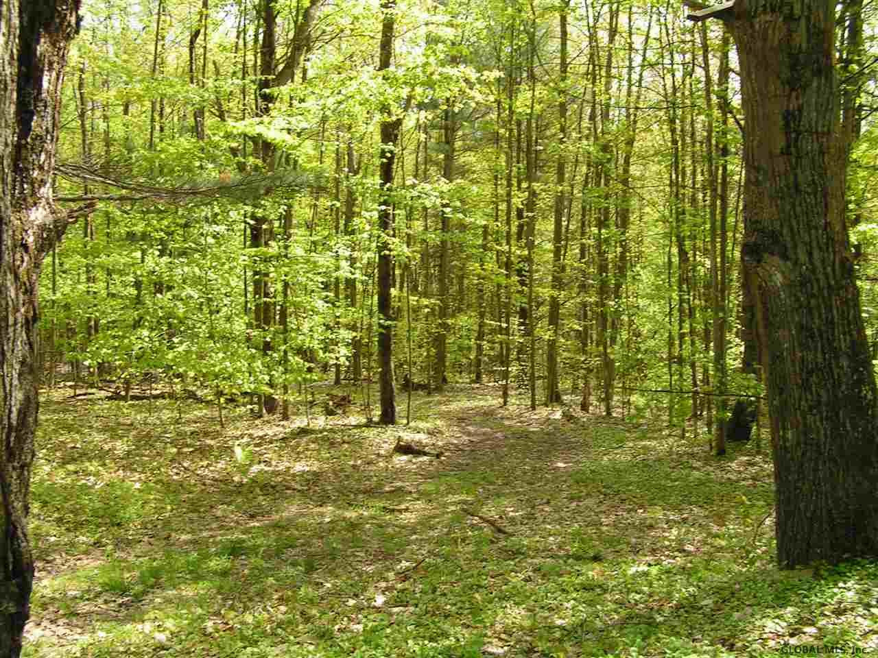361 Tabor S Road Schenevus, NY 12155 - Photo 6 of 28 Photo 6