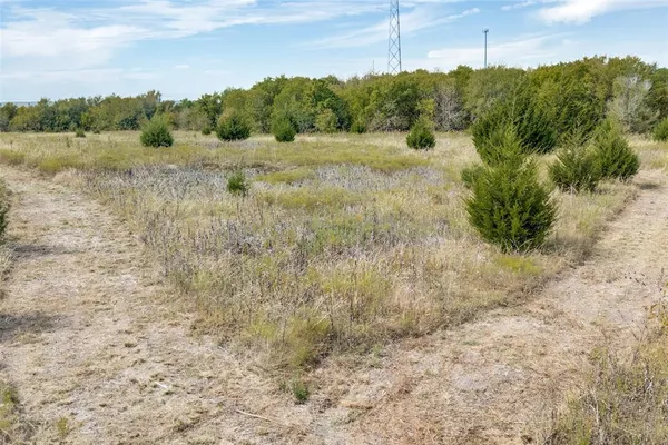 a view of a yard with a lake