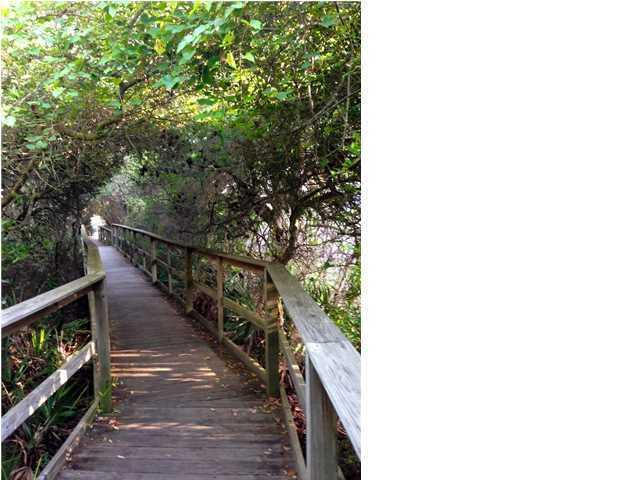 Board walk