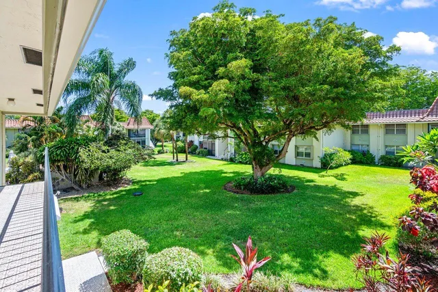 a view of a garden with a tree