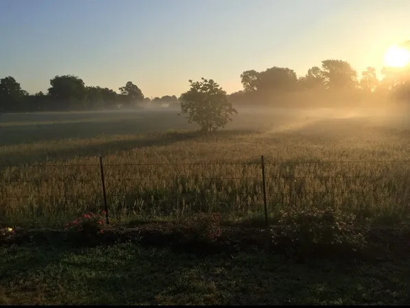 $529,900 | 200 VZ County Road 4124, Canton, TX 75103