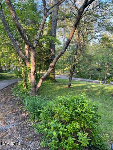 104 Pine Road Norris, TN 37828 - Photo 15 of 37 unnamed (28)