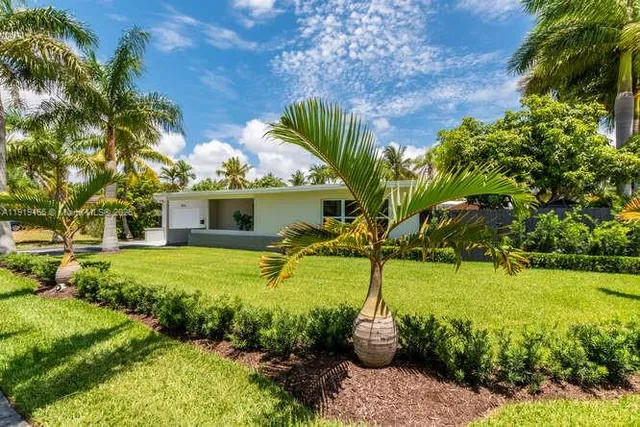 a view of a backyard with plants and palm trees