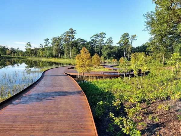 a view of a city from a tub