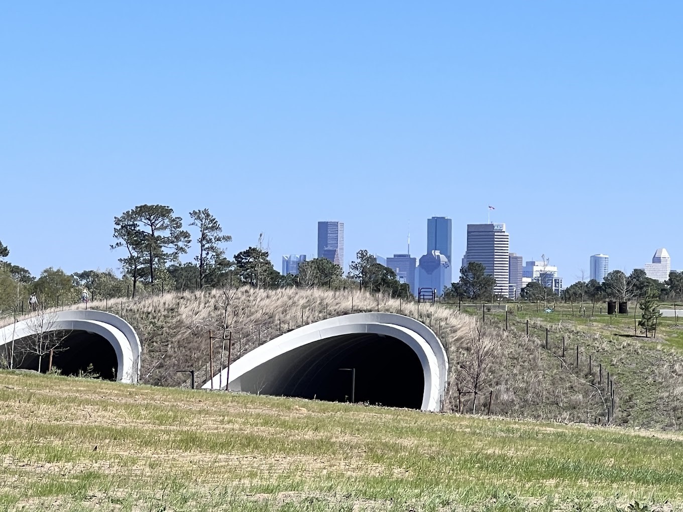 6306 Stillman Street Houston, TX 77007 - Photo 16 of 19 a view of a city from a tub