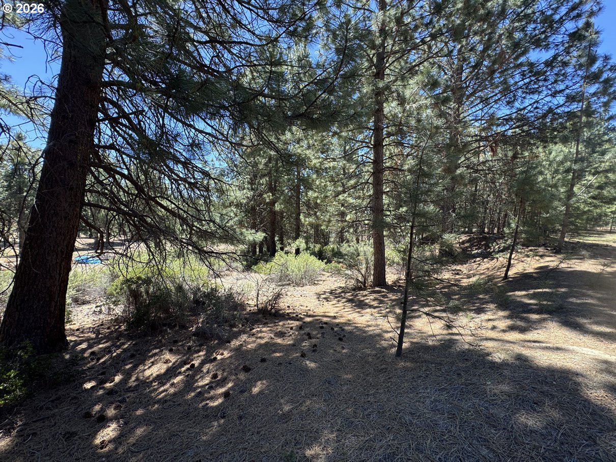 Friendship Drive, Unit 12 Chiloquin, OR 97624 - Photo 13 of 28