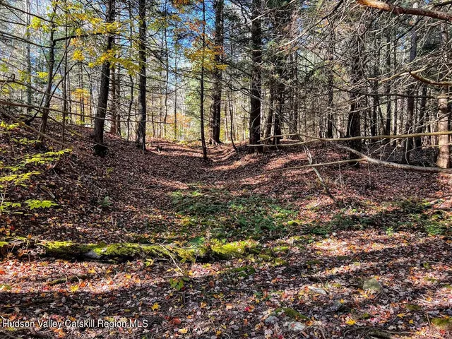a view of backyard with tree