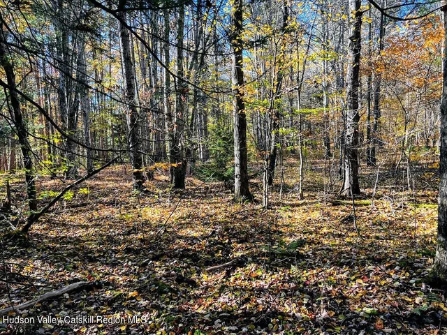 a view of a large yard with lots of green space