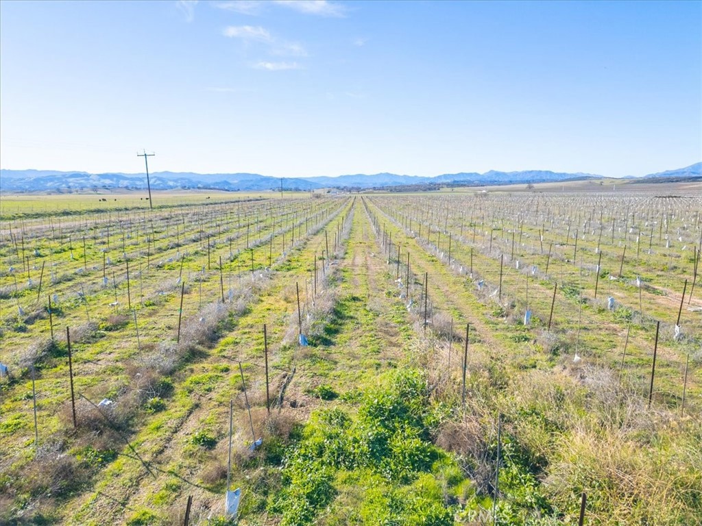 48655 Lockwood-Jolon Road Lockwood, CA 93932 - Photo 25 of 70