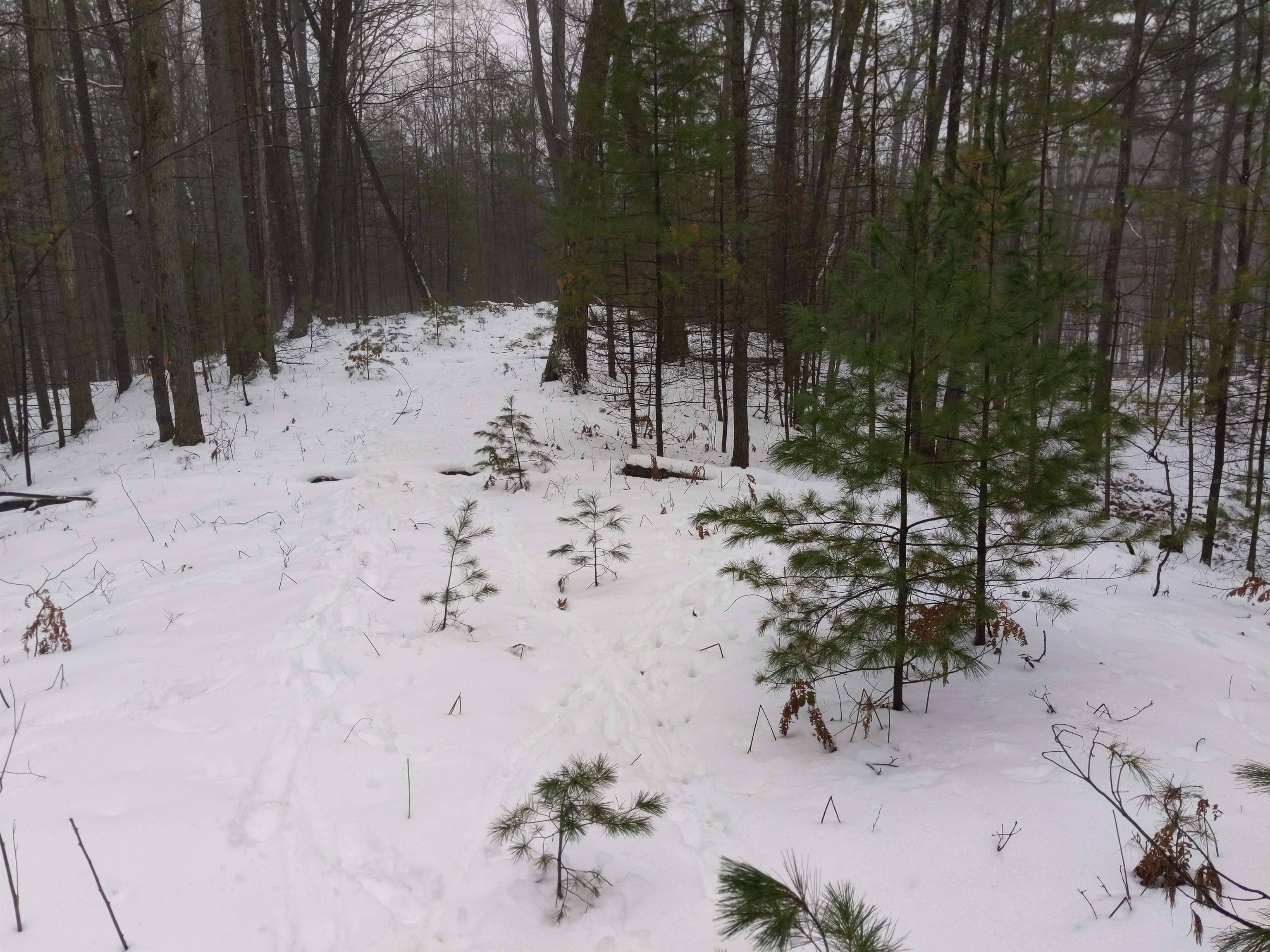 47 South 47 3/4 Road Cadillac, MI 49601 - Photo 45 of 59