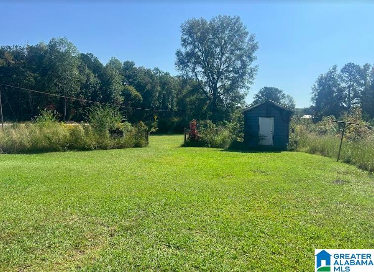 23400 East Highway 18 Berry, AL 35546 - Photo 3 of 18