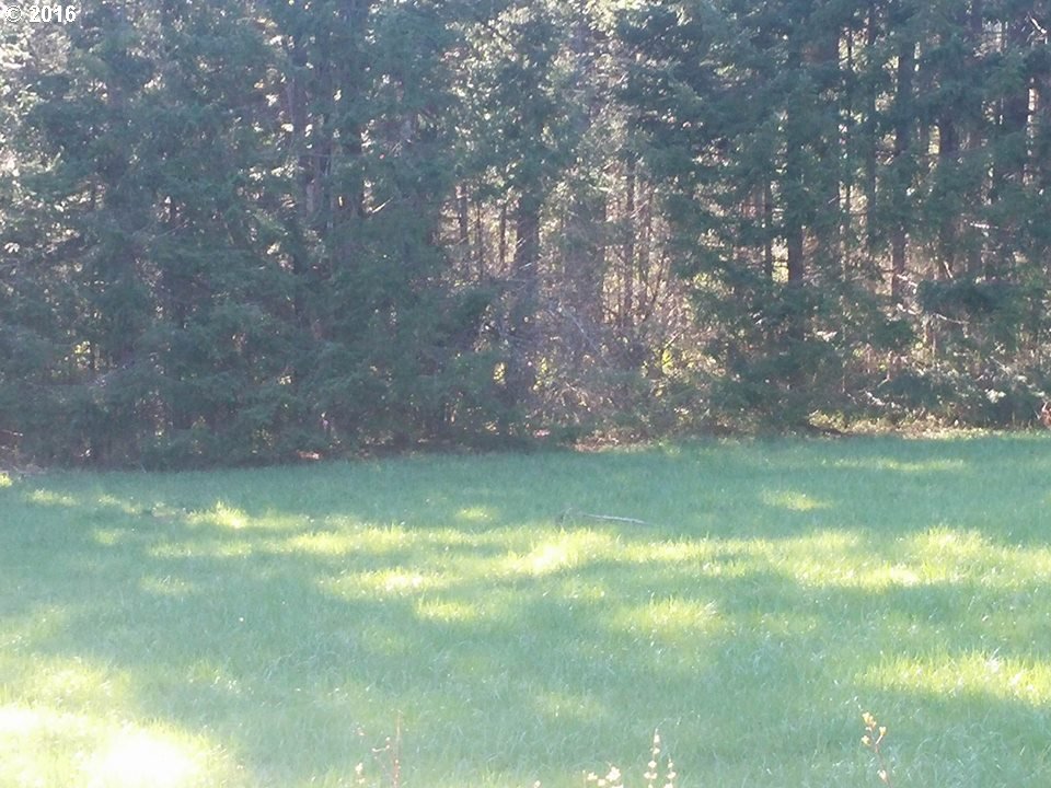 2311 East Loop Road Stevenson, WA 98648 - Photo 1 of 8
