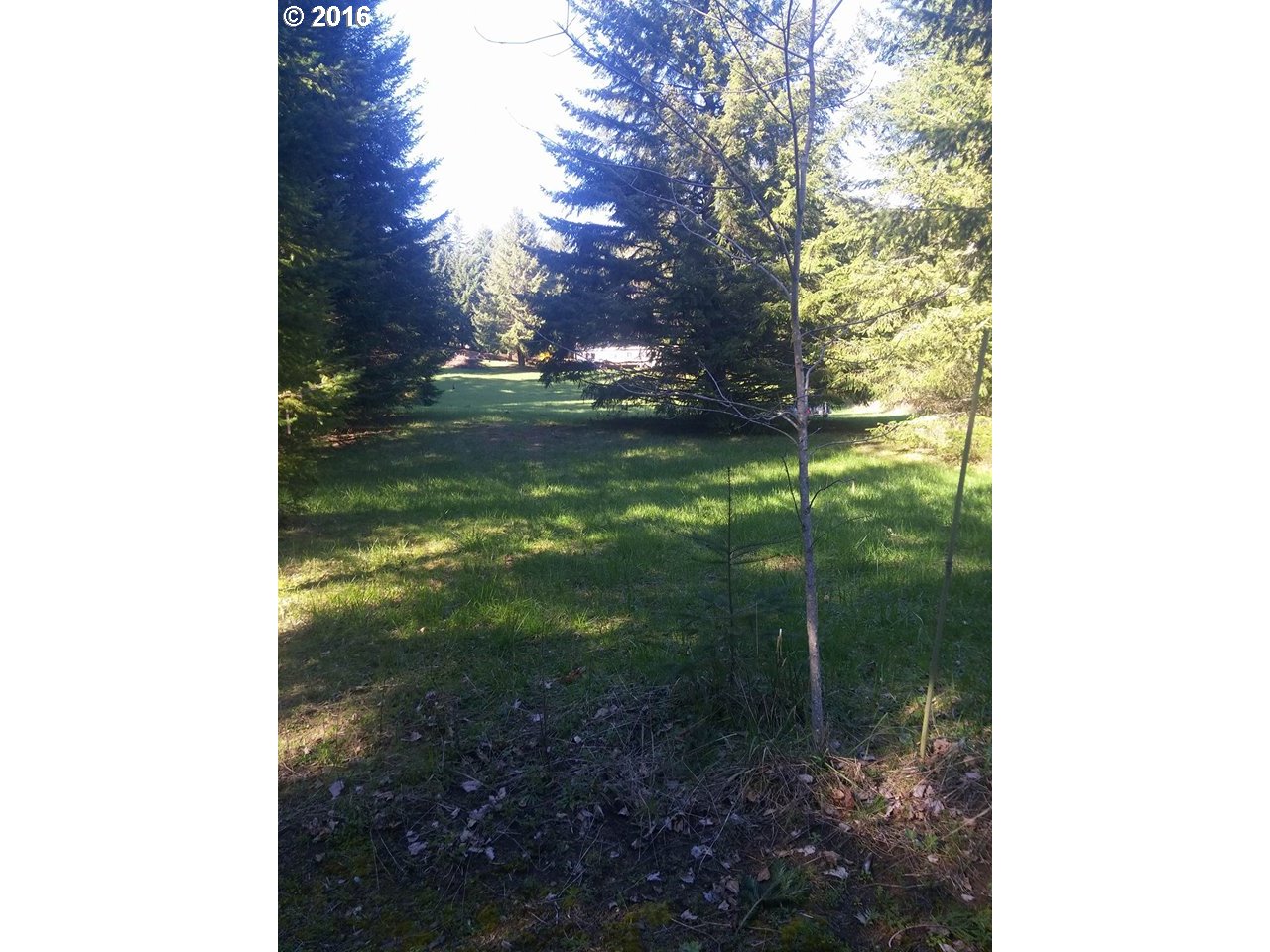 2311 East Loop Road Stevenson, WA 98648 - Photo 3 of 8