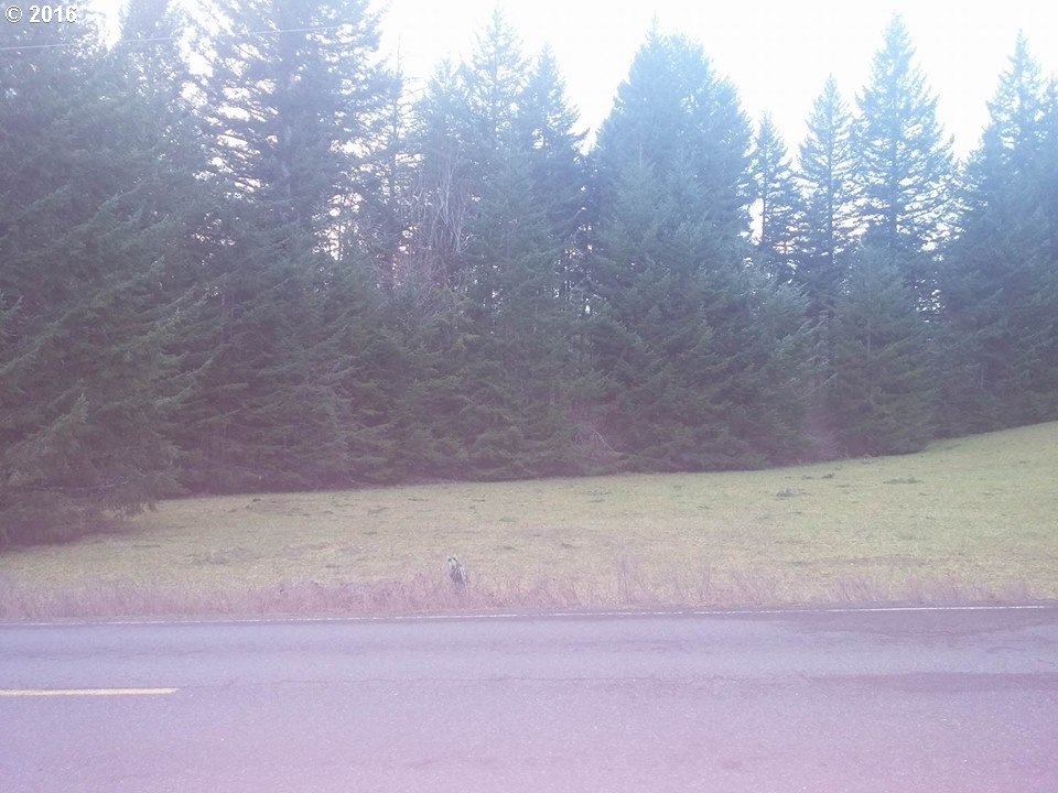 2311 East Loop Road Stevenson, WA 98648 - Photo 7 of 8