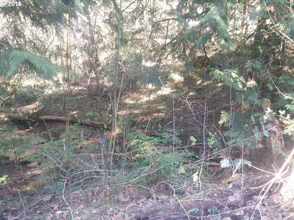 2311 East Loop Road Stevenson, WA 98648 - Photo 8 of 8