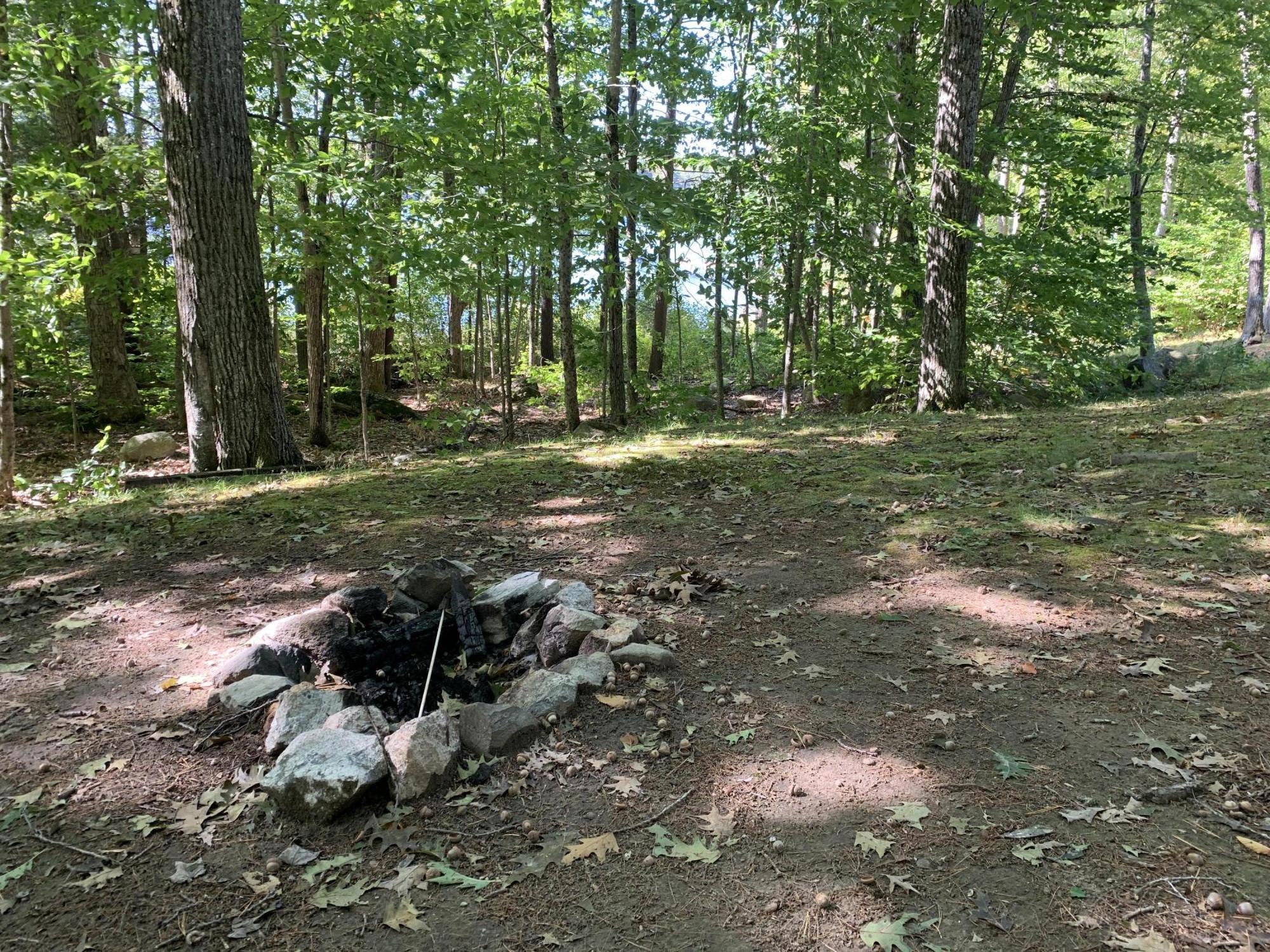 27 Common Way Road Naples, ME 04055 - Photo 18 of 54 FIREPIT