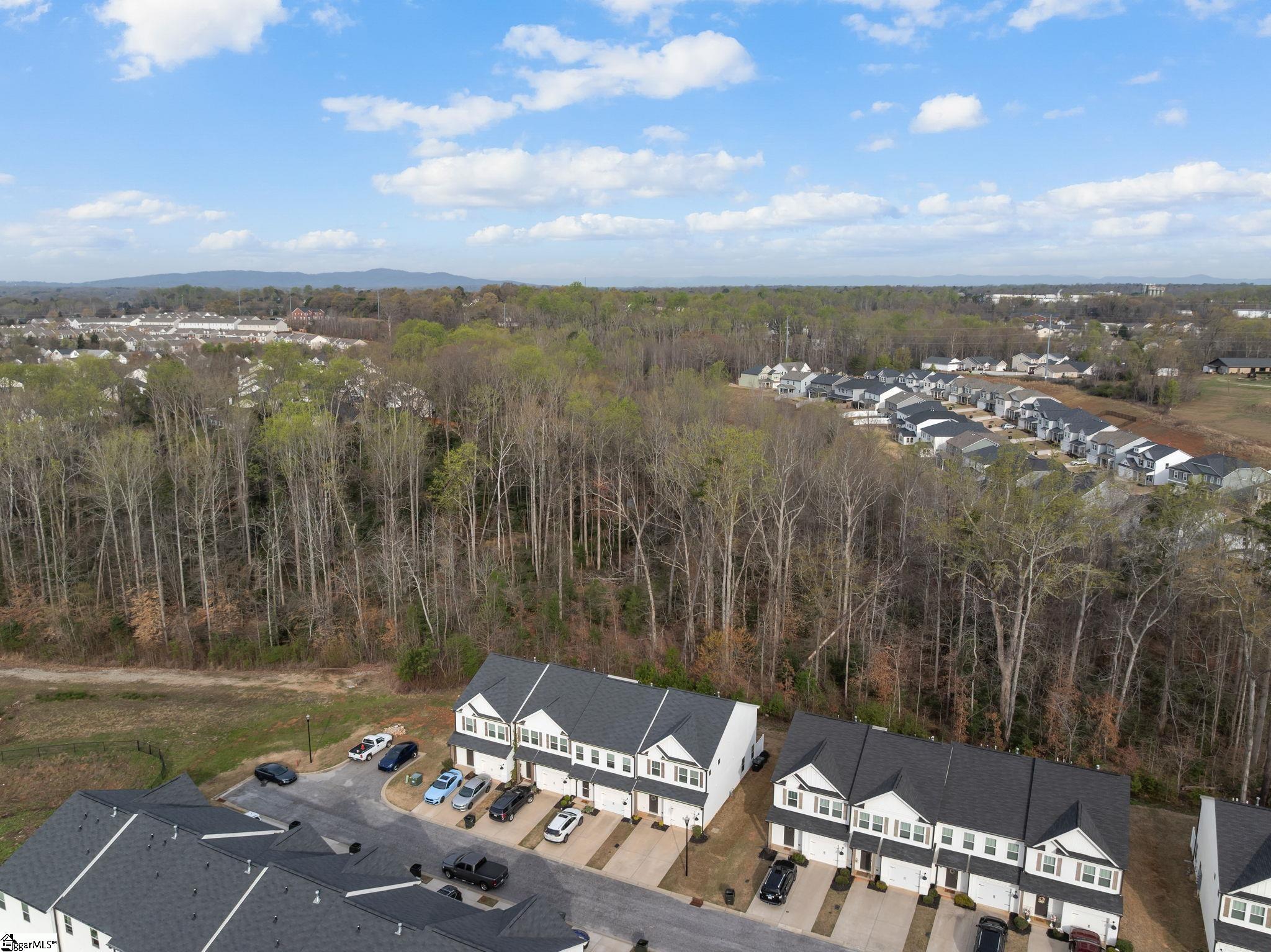 100 Grey Oak Trail Greer, SC 29650 - Photo 30 of 30