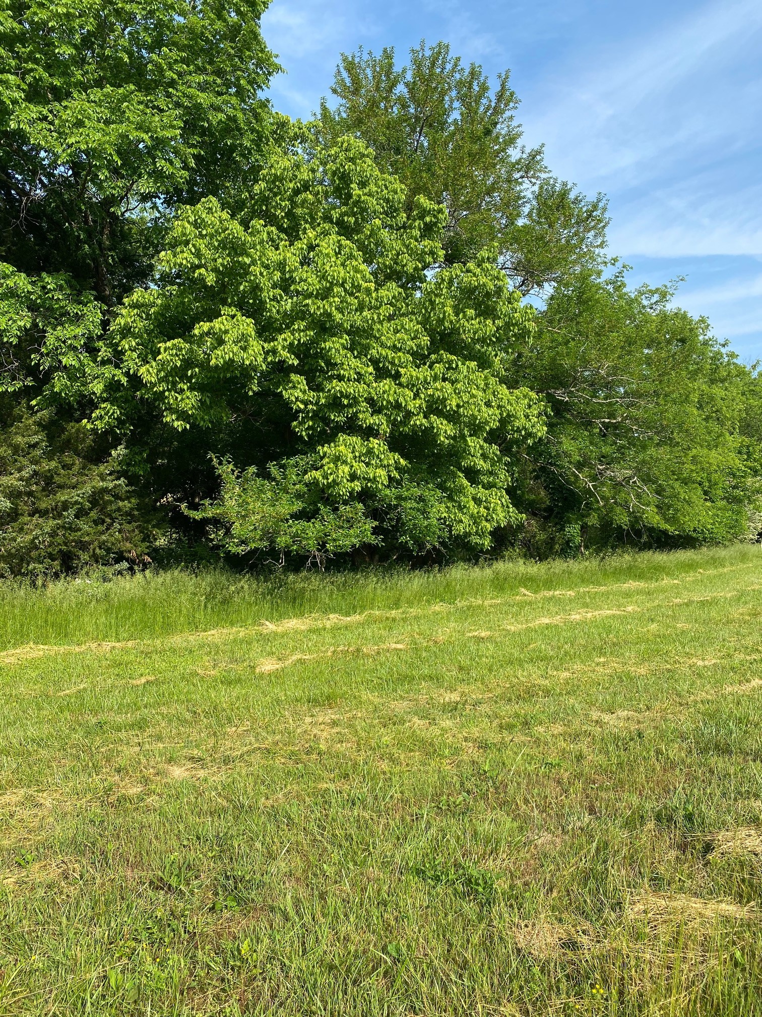 2150 Center Point Road Hendersonville, TN 37075 - Photo 1 of 10 Gallery Image 1