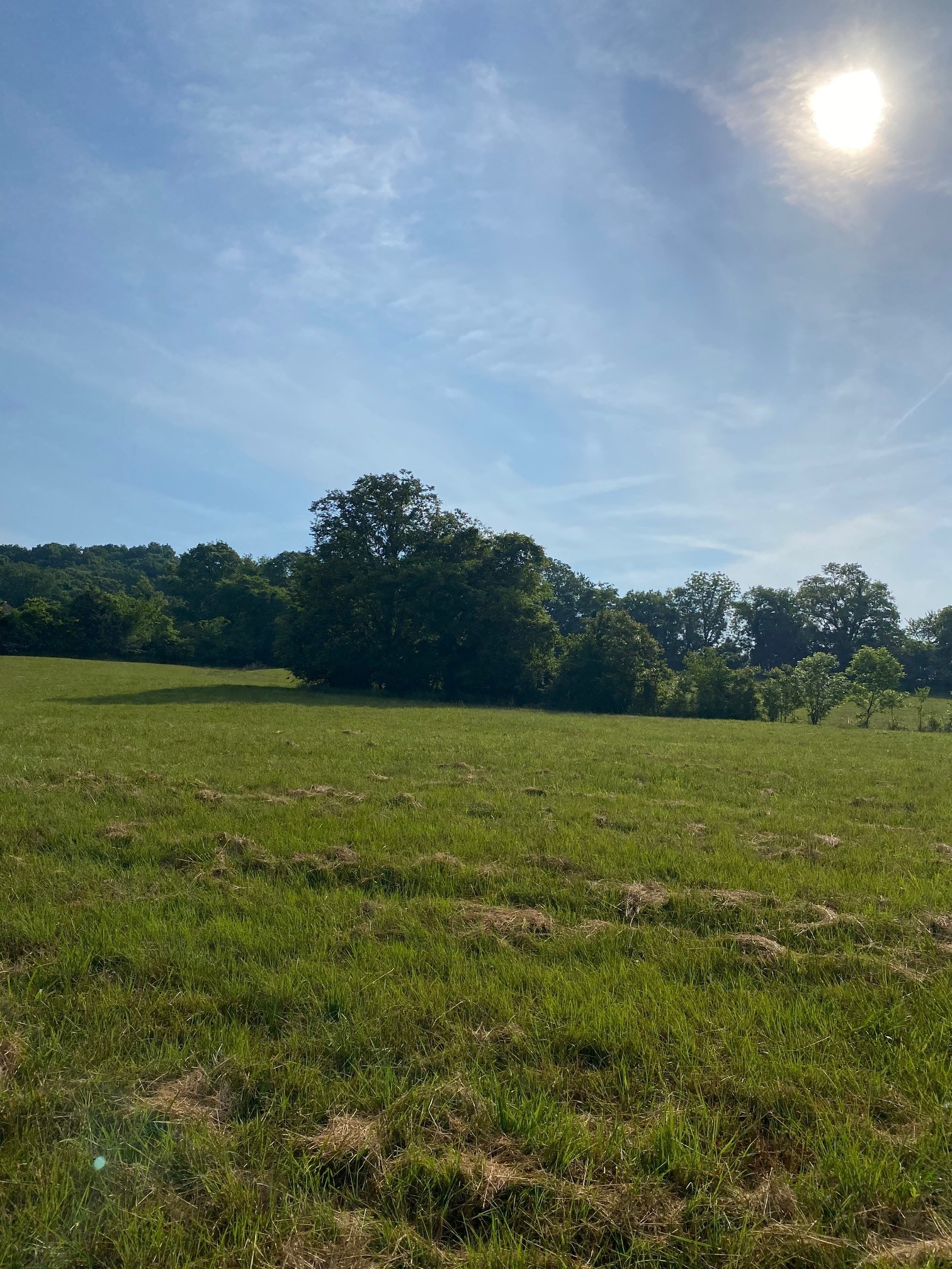 2150 Center Point Road Hendersonville, TN 37075 - Photo 2 of 10 Gallery Image 2