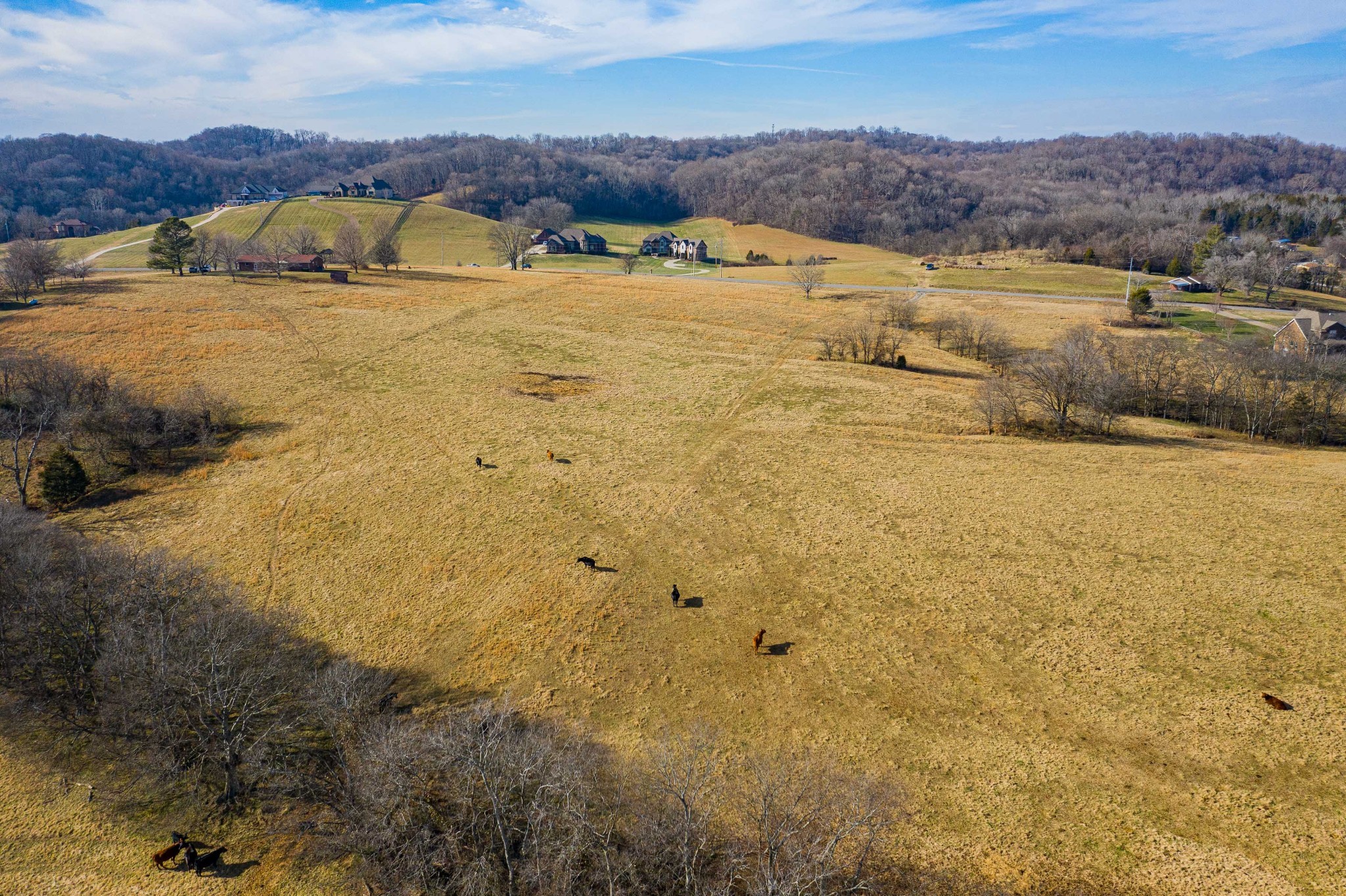 2150 Center Point Road Hendersonville, TN 37075 - Photo 3 of 10 Gallery Image 3