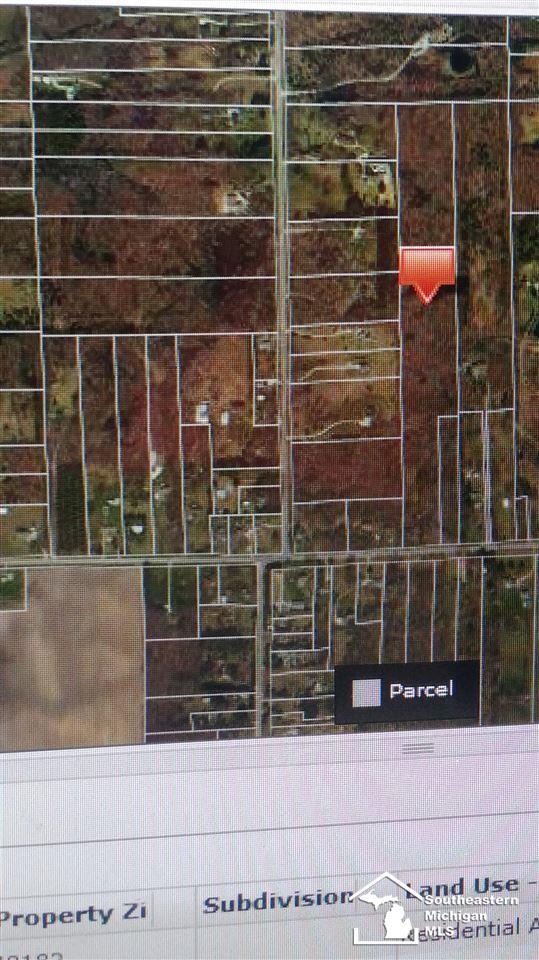 0 West Rauch Road Petersburg, MI 49270 - Photo 6 of 6